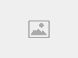 Suche Axolottl Komlett-Set (Aquarium mit Kühler)