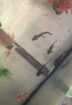 Axolotl geb 16.05.2026