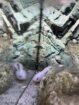 2 Axolotl zu verkaufen