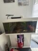 Juwel Aquarium mit Zubehör