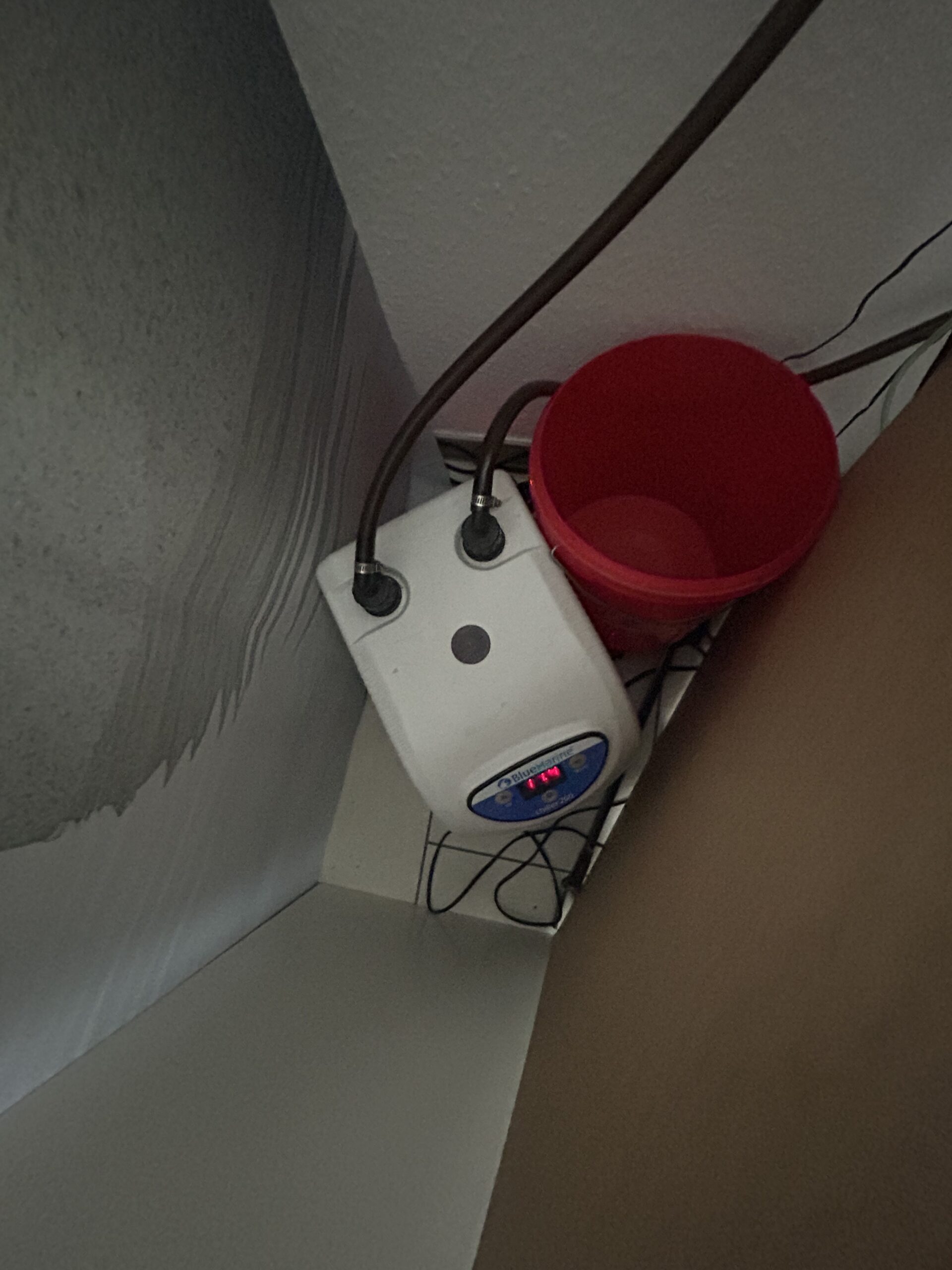 Juwel Aquarium mit Zubehör