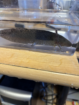 Axolotl Wildlinge (ca. 1 Jahr alt) in Varel abzugeben!