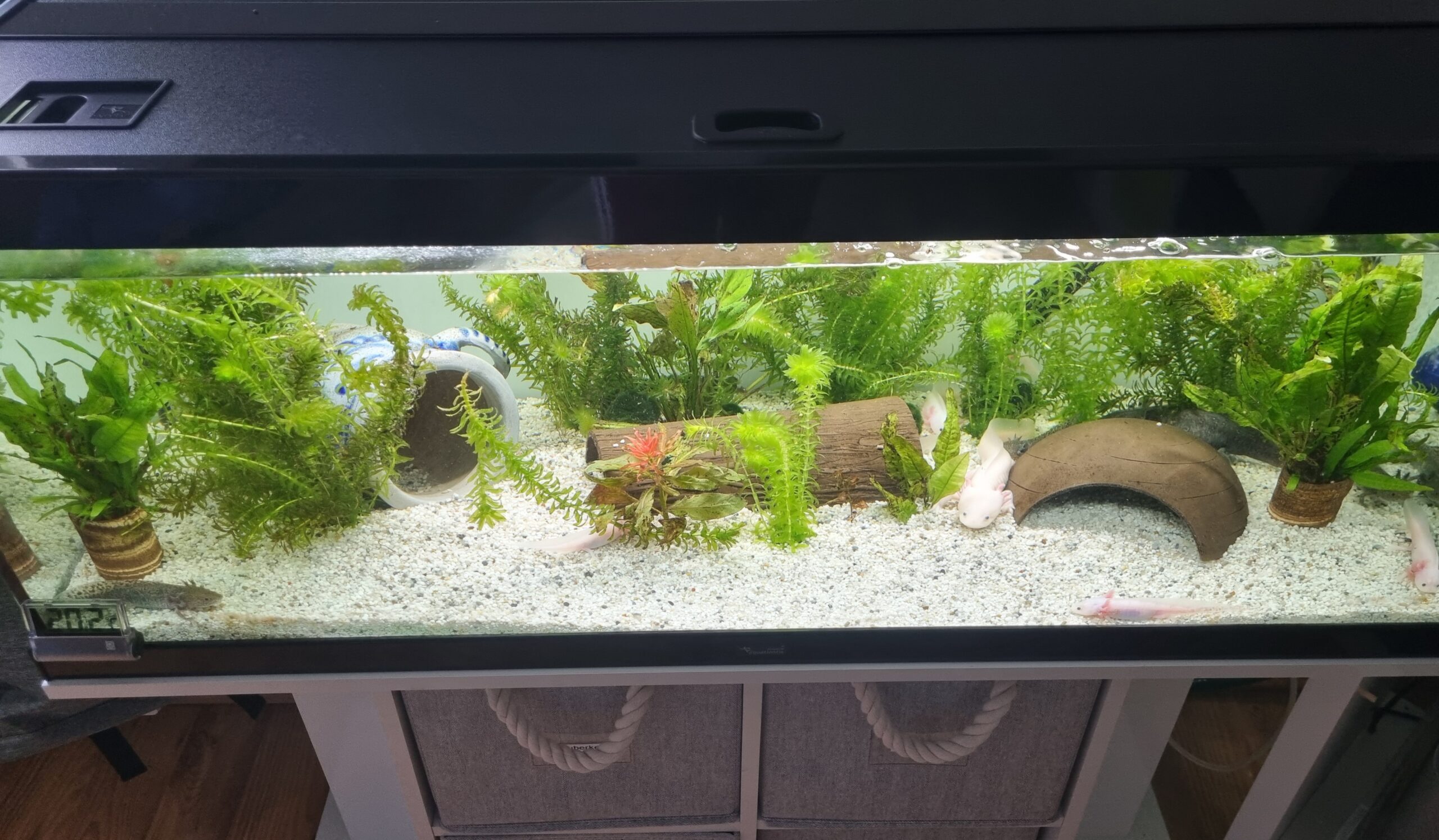 Aquarium komplett