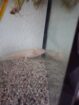 Axolotl + komplett zubehör