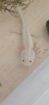 Axolotl Nachwuchs