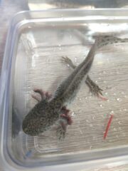 IMG_20260907_150529
