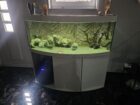Juwel Aquarium 450Liter
