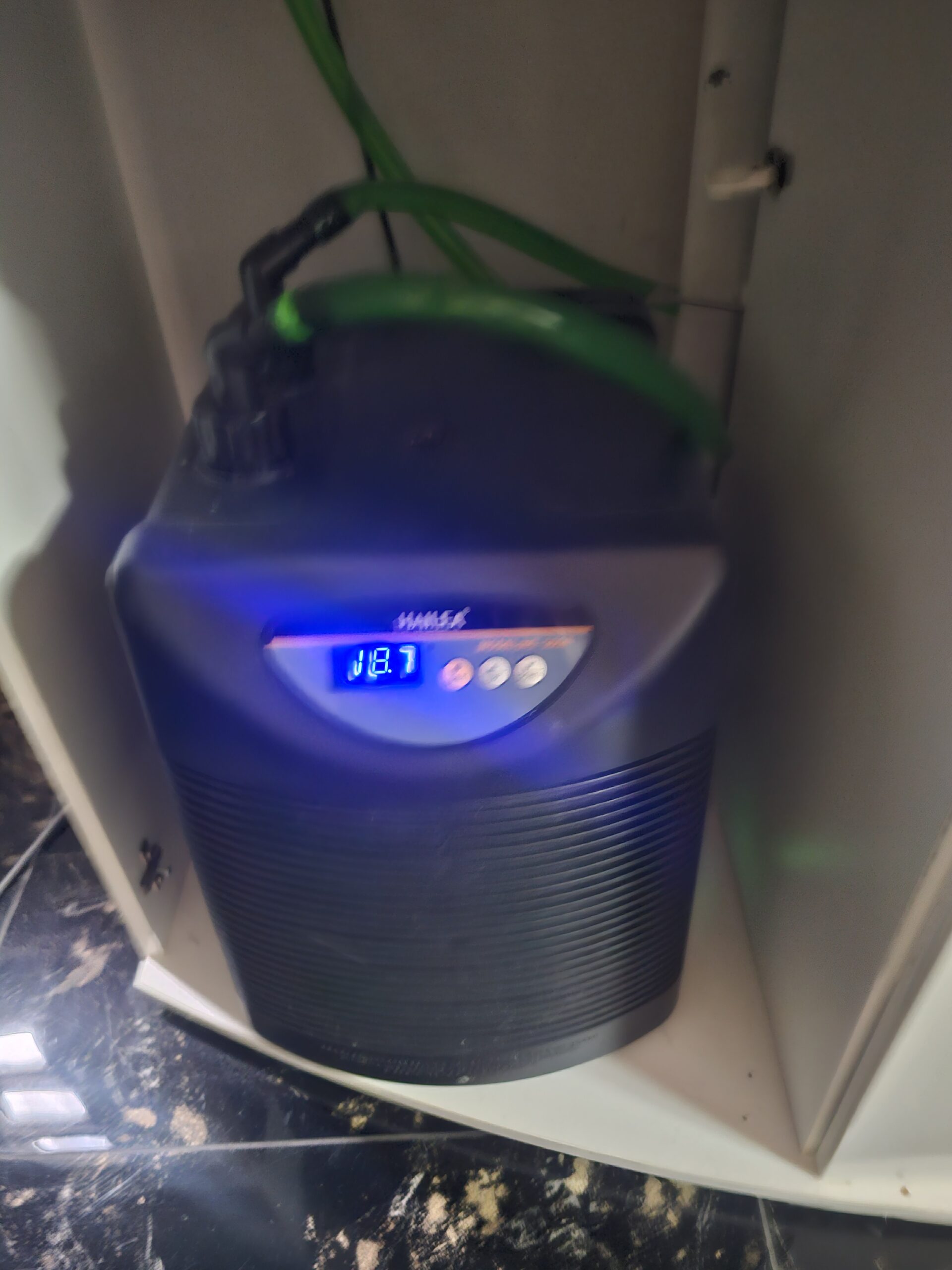Juwel Aquarium 450Liter