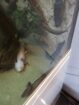 Juwel Aquarium 450Liter