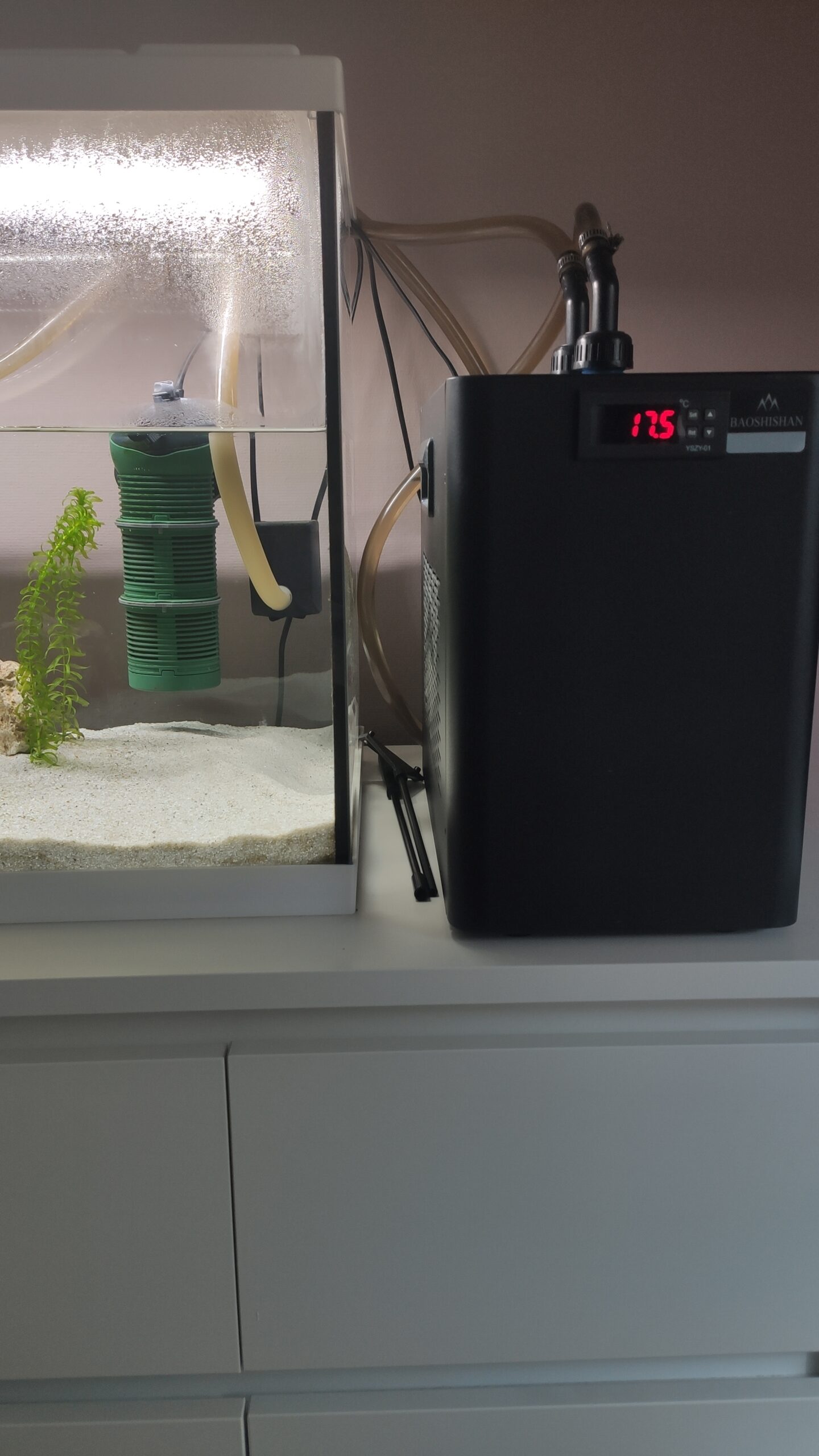 Komplettset : Aquarium und Wasserkühlung mit Zubehör und dem Axolotl