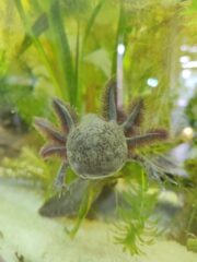 IMG_20260928_103815