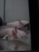 Axolotl